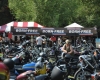Born Free Show - Art Hall #4