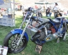 Born Free Show - Art Hall #6