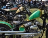 Born Free Show - Art Hall #7