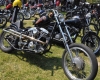 Born Free Show - Art Hall #8