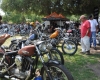 Born Free Show - Art Hall #9