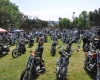 Born Free Show - Art Hall #10