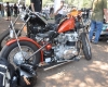 Born Free Show - Art Hall #11