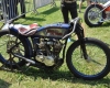 Born Free Show - Art Hall #13