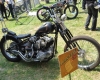 Born Free Show - Art Hall #14