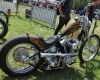 Born Free Show - Art Hall #20