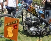 Born Free Show - Art Hall #21