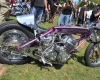 Born Free Show - Art Hall #22