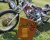 Born Free Show - Art Hall #23