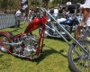 Born Free Show - Art Hall #24
