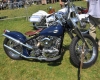 Born Free Show - Art Hall #25