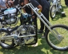 Born Free Show - Art Hall #28