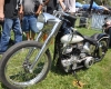 Born Free Show - Art Hall #30