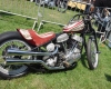 Born Free Show - Art Hall #31
