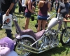 Born Free Show - Art Hall #33