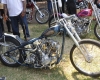Born Free Show - Art Hall #36