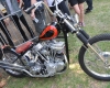 Born Free Show - Art Hall #38