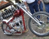 Born Free Show - Art Hall #39