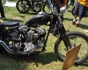 Born Free Show - Art Hall #40
