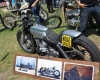 Born Free Show - Art Hall #43