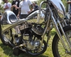Born Free Show - Art Hall #49
