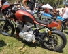 Born Free Show - Art Hall #50