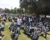 Born Free Show - Art Hall #57