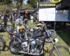 Born Free Show - Art Hall #58