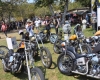 Born Free Show - Art Hall #59