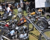 Born Free Show - Art Hall #60