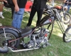 Born Free Show - Art Hall #64