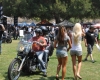 Born Free Show - Art Hall #68