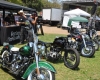 Born Free Show - Art Hall #69