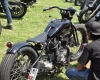 Born Free Show - Art Hall #72