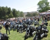 Born Free Show - Art Hall #73