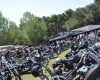 Born Free Show - Art Hall #75