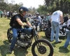 Born Free Show - Art Hall #76