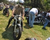 Born Free Show - Art Hall #77