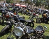 Born Free Show - Art Hall #79