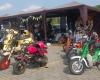 OK DSC_6264