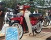 OK DSC_6310