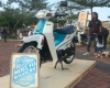 OK DSC_6316