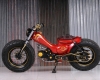 OK BN010_endro (34)